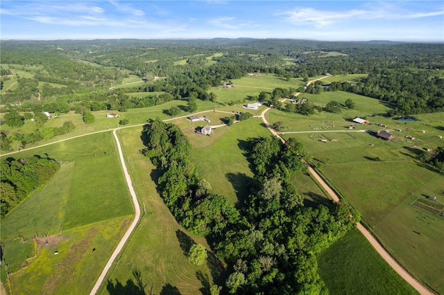 17338 Scott Cemetery Rd, Garfield, AR 72732 - photo 58