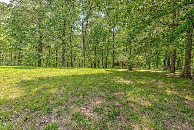 14454 Woods Lodge Rd, Rogers, AR 72756 - photo 30