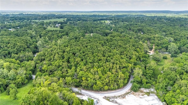 14454 Woods Lodge Rd, Rogers, AR 72756 - photo 35