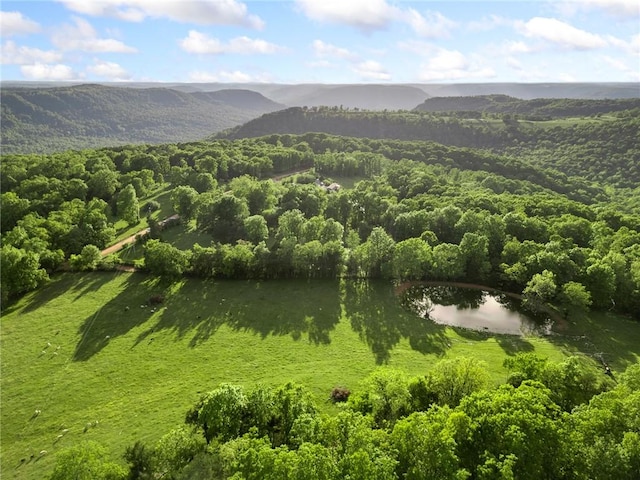 170 NC-8376, Jasper, AR 72641 - aerial view of a heavily wooded area and a water and mountain view