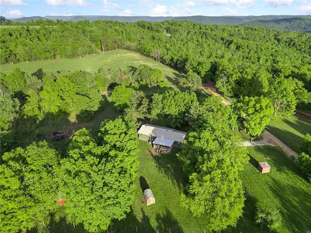 170 NC-8376, Jasper, AR 72641 - drone / aerial view of a heavily wooded area