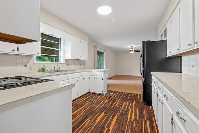 170 NC-8376, Jasper, AR 72641 - kitchen featuring a sink, tile counters, a ceiling fan, and dark wood finished floors