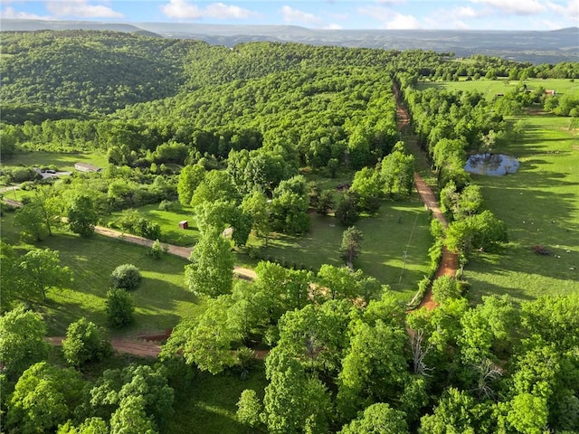 170 NC-8376, Jasper, AR 72641 - view of property location featuring a heavily wooded area