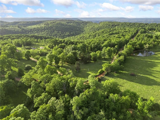 170 NC-8376, Jasper, AR 72641 - view of property location featuring a heavily wooded area and a nearby body of water