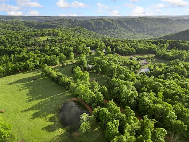 170 NC-8376, Jasper, AR 72641 - aerial view of property's location featuring a forest