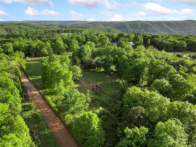 170 NC-8376, Jasper, AR 72641 - aerial view of property's location featuring a heavily wooded area