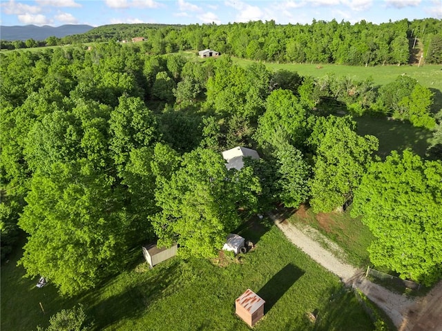 170 NC-8376, Jasper, AR 72641 - aerial view of property's location with a forest