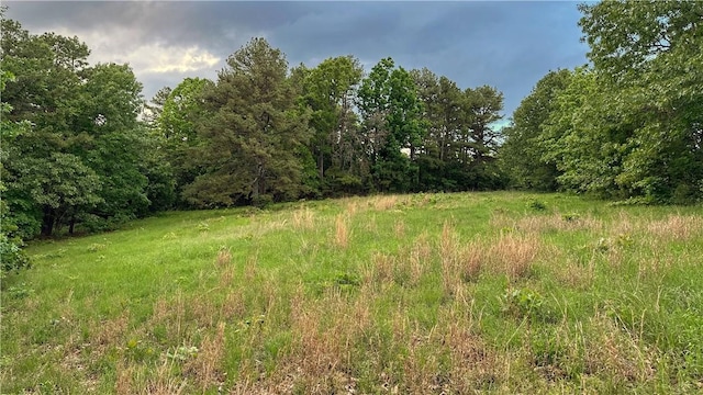 13135 Cobb Rd, Omaha, AR 72662 - photo 8
