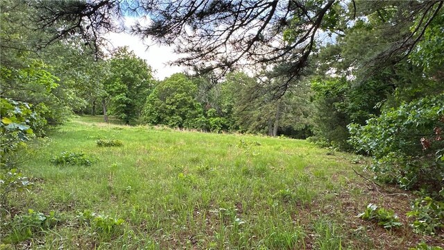 13135 Cobb Rd, Omaha, AR 72662 - photo 9