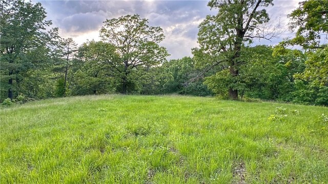 13135 Cobb Rd, Omaha, AR 72662 - photo 11