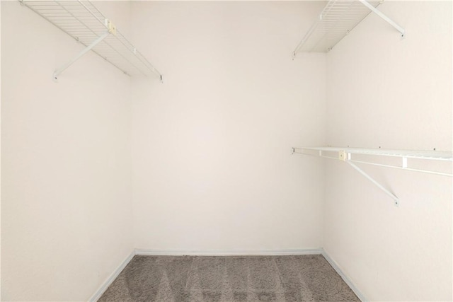 spacious closet with carpet