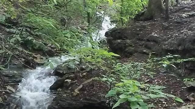 1451 County Road 266, Eureka Springs, AR 72631 - photo 1