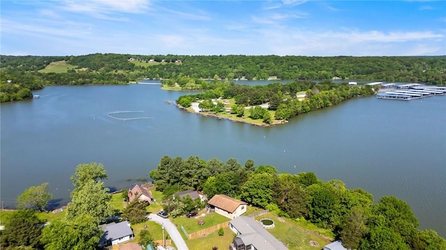 12508 Fords Rock Lndg, Lowell, AR 72745 - aerial view of a heavily wooded area and a nearby body of water
