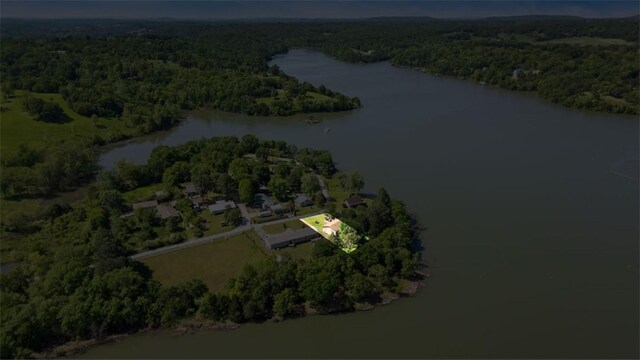 12508 Fords Rock Lndg, Lowell, AR 72745 - aerial view of property's location featuring a forest, a nearby body of water, and property boundaries highlighted