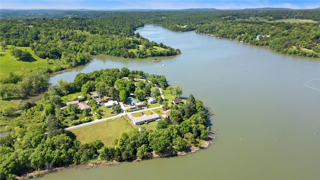 12508 Fords Rock Lndg, Lowell, AR 72745 - drone / aerial view of a heavily wooded area and a large body of water