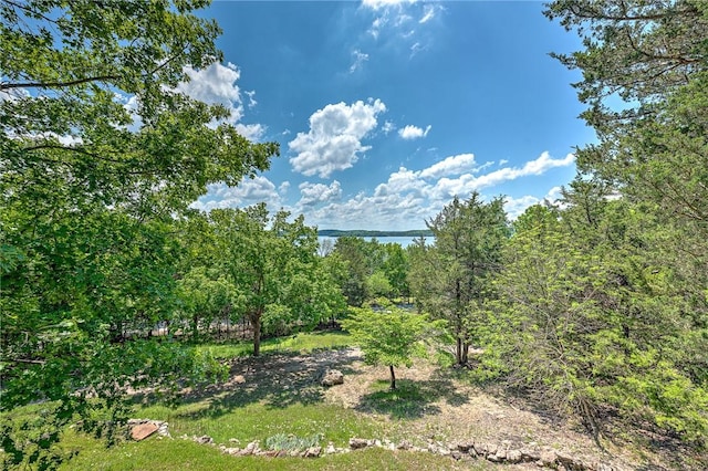 20916 Slate Gap Rd, Garfield, AR 72732 - view of undeveloped land with a nearby body of water