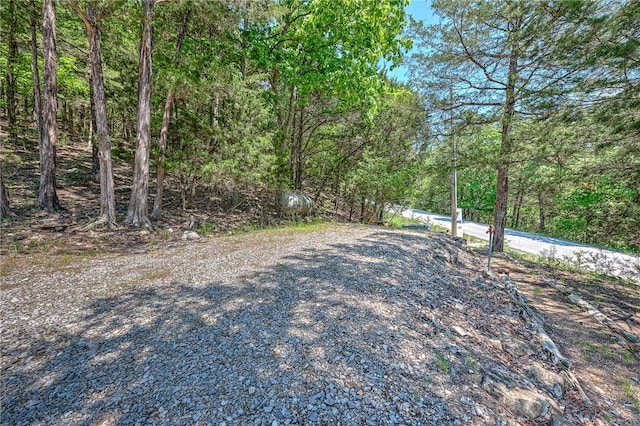 20916 Slate Gap Rd, Garfield, AR 72732 - view of yard featuring a wooded view