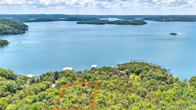 20916 Slate Gap Rd, Garfield, AR 72732 - view of property location featuring a large body of water, property boundaries highlighted, and a forest