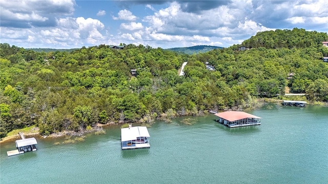 20916 Slate Gap Rd, Garfield, AR 72732 - bird's eye view of a forest and a large body of water