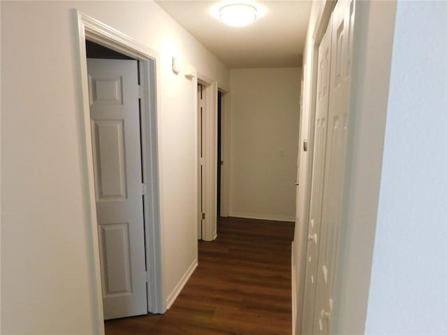 1411 Cresent St, Bentonville, AR 72712 - hall with dark wood-style floors and baseboards