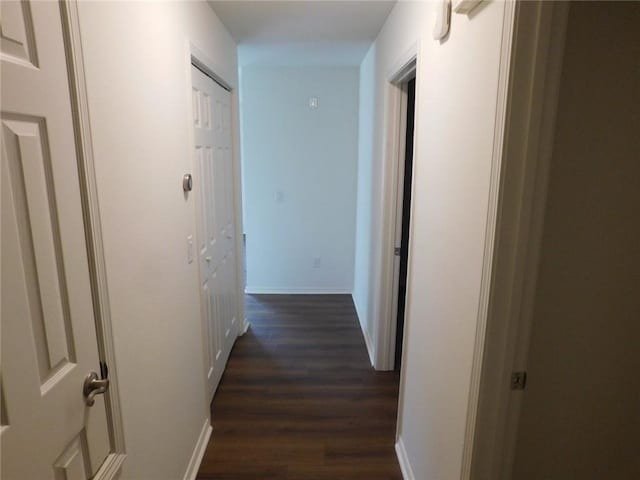 1411 Cresent St, Bentonville, AR 72712 - hall featuring dark wood-style flooring and baseboards