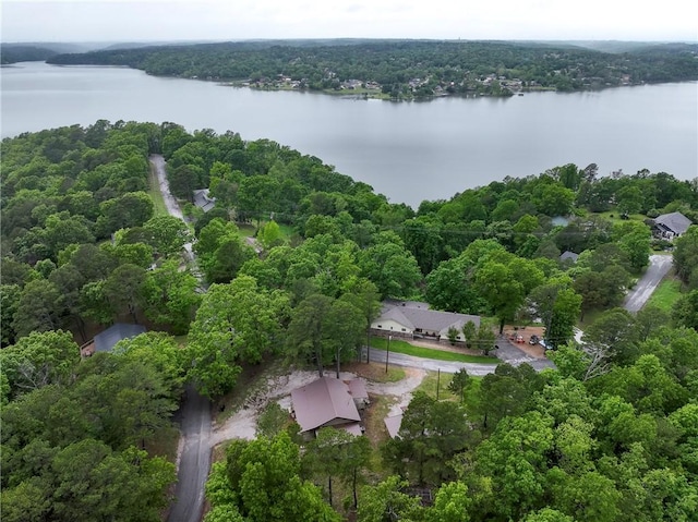 17278 Timberlake Trl, Rogers, AR 72756 - view of property location with a large body of water