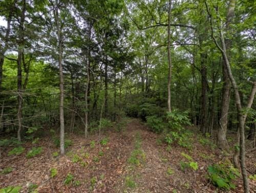 Sutton Pl, Harrison, AR 72601 - photo 1
