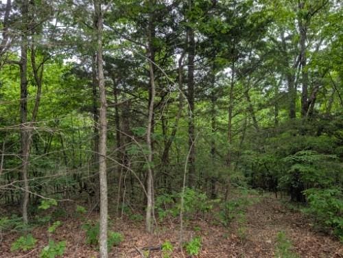 Sutton Pl, Harrison, AR 72601 - photo 2