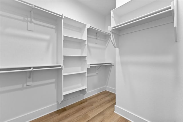 spacious closet featuring wood finished floors