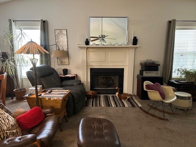 carpeted living room featuring plenty of natural light, ceiling fan, and a fireplace with flush hearth