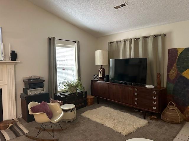 living room featuring vaulted ceiling and a textured ceiling