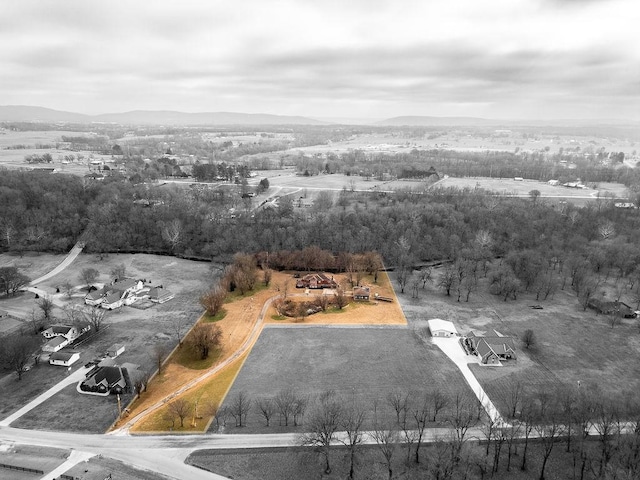 13579 Goose Creek Rd, Fayetteville, AR 72704 - photo 53