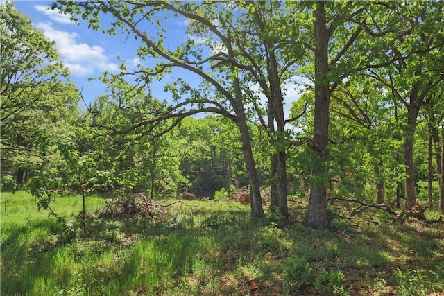 view of woods