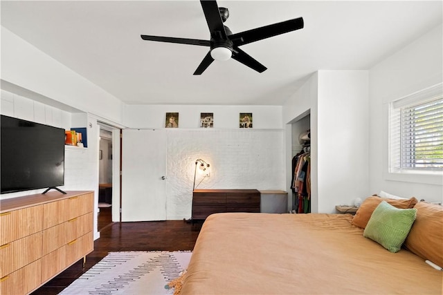 bedroom with dark wood finished floors, a closet, a walk in closet, and a ceiling fan