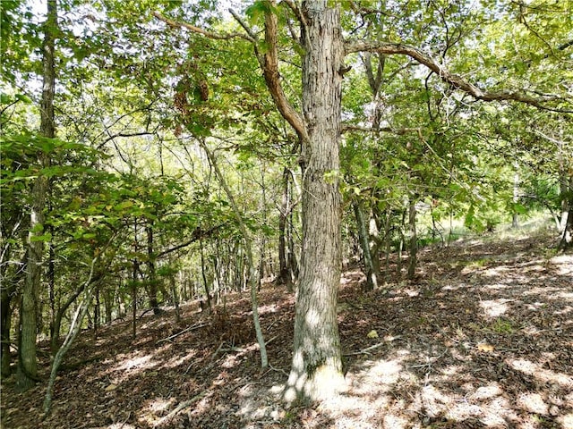 18-05223-001 Kindred Hollow Rd, Rogers, AR 72756