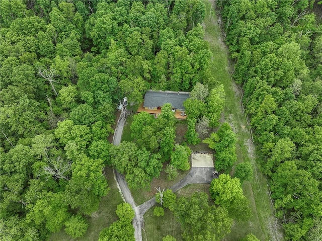 16969 Posy Mountain Rd, Rogers, AR 72756 - photo 3