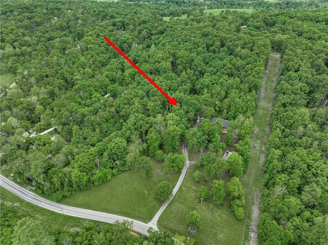 16969 Posy Mountain Rd, Rogers, AR 72756 - photo 33