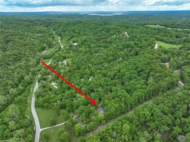 16969 Posy Mountain Rd, Rogers, AR 72756 - photo 34