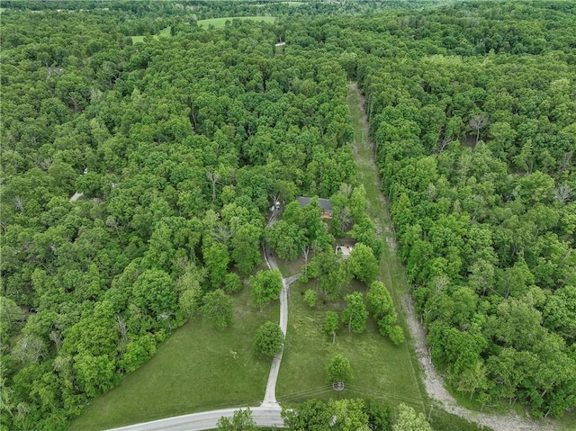 16969 Posy Mountain Rd, Rogers, AR 72756 - photo 35