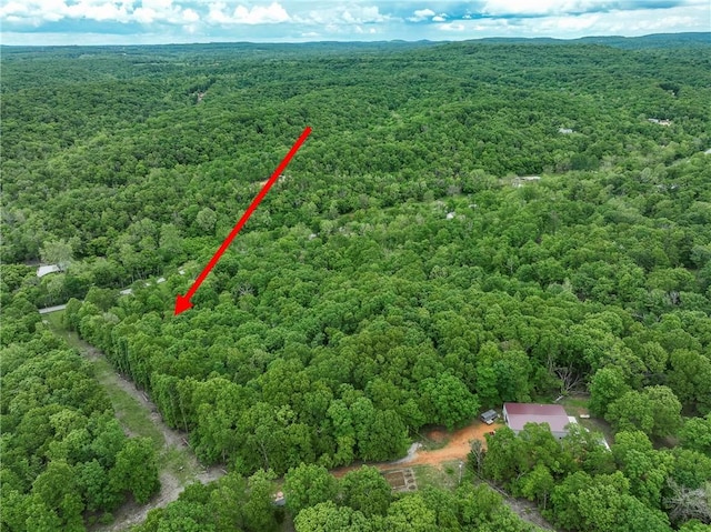 16969 Posy Mountain Rd, Rogers, AR 72756 - photo 37