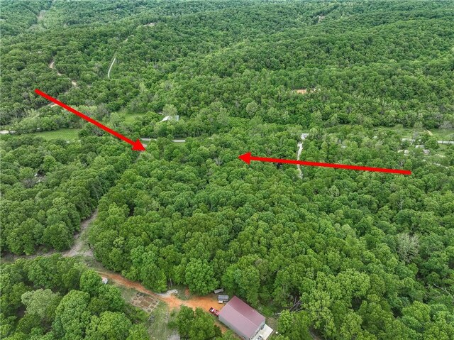 16969 Posy Mountain Rd, Rogers, AR 72756 - photo 4