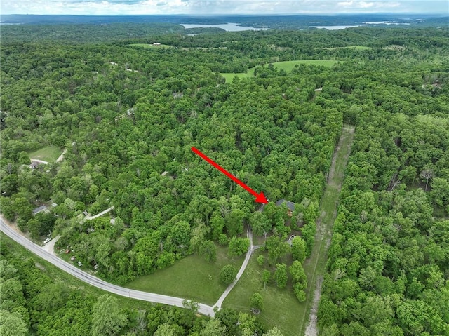 16969 Posy Mountain Rd, Rogers, AR 72756 - photo 30