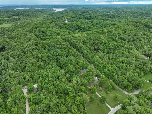 16969 Posy Mountain Rd, Rogers, AR 72756 - photo 31