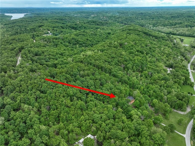 16969 Posy Mountain Rd, Rogers, AR 72756 - photo 32