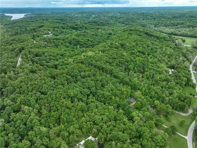 16969 Posy Mountain Rd, Rogers, AR 72756 - photo 38