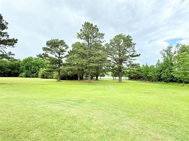 10098 Bayview Rd, Dardanelle, AR 72834 - view of green lawn