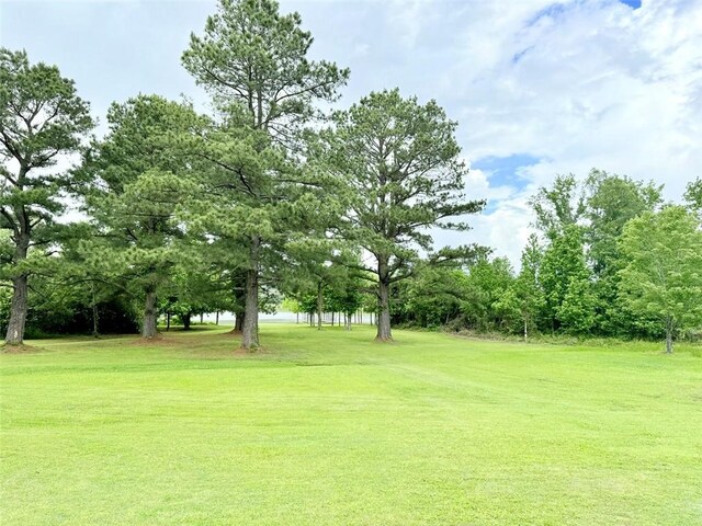 10098 Bayview Rd, Dardanelle, AR 72834 - photo 46