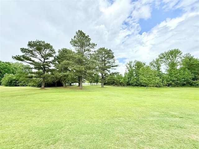 10098 Bayview Rd, Dardanelle, AR 72834 - photo 3