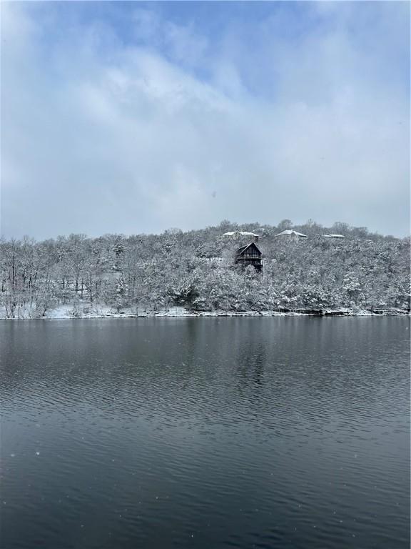 9 W Bluff Ln, Holiday Island, AR 72631