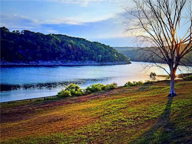 9 W Bluff Ln, Holiday Island, AR 72631
